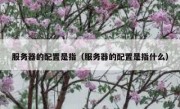 服务器的配置是指（服务器的配置是指什么）