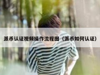 派币认证视频操作流程图（派币如何认证）