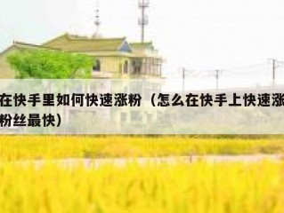 在快手里如何快速涨粉（怎么在快手上快速涨粉丝最快）