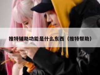 推特辅助功能是什么东西（推特帮助）