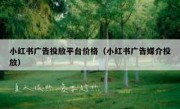 小红书广告投放平台价格（小红书广告媒介投放）