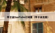 李子柒YouTube订阅量（李子柒流量）