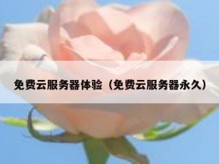 免费云服务器体验（免费云服务器永久）