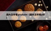 国内怎样看youtube（国内怎样看p站）