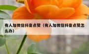 有人加微信抖音点赞（有人加微信抖音点赞怎么办）