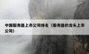 中国服务器上市公司排名（服务器的龙头上市公司）