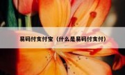 易码付支付宝（什么是易码付支付）