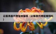 云服务器代理加盟骗局（云服务代理能赚钱吗）