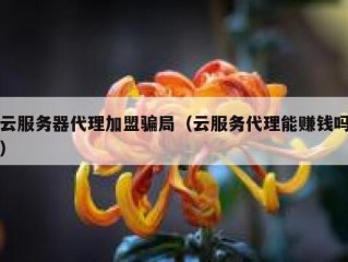 云服务器代理加盟骗局（云服务代理能赚钱吗）