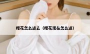 樱花怎么进去（樱花现在怎么进）