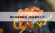 境外抖音涨粉丝（抖音国外人气）