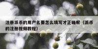 注册派币的用户名要怎么填写才正确呢（派币的注册视频教程）