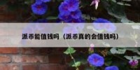 派币能值钱吗（派币真的会值钱吗）