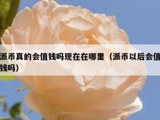 派币真的会值钱吗现在在哪里（派币以后会值钱吗）