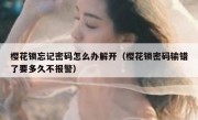 樱花锁忘记密码怎么办解开（樱花锁密码输错了要多久不报警）