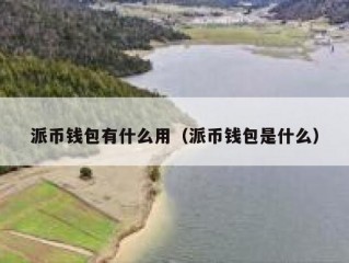 派币钱包有什么用（派币钱包是什么）