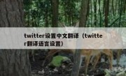 twitter设置中文翻译（twitter翻译语言设置）