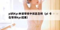 pi的Kyc申请审核中状态怎样（pi 卡在等待kyc结果）