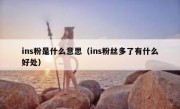 ins粉是什么意思（ins粉丝多了有什么好处）