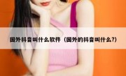 国外抖音叫什么软件（国外的抖音叫什么?）