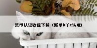 派币认证教程下载（派币k丫c认证）