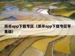派币app下载专区（派币app下载专区苹果版）