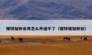 推特加粉业务怎么开通不了（推特增加粉丝）