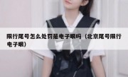 限行尾号怎么处罚是电子眼吗（北京尾号限行电子眼）