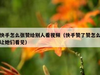 快手怎么张赞给别人看视频（快手赞了赞怎么让她们看见）