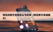 樱花的数字密码怎么写的呀（樱花数字简谱图片）