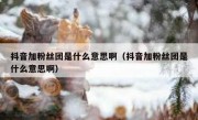 抖音加粉丝团是什么意思啊（抖音加粉丝团是什么意思啊）