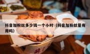 抖音加粉丝多少钱一个小时（抖音加粉丝量有用吗）