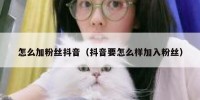 怎么加粉丝抖音（抖音要怎么样加入粉丝）