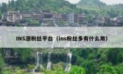 INS涨粉丝平台（ins粉丝多有什么用）