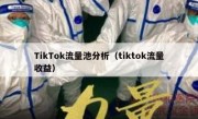 TikTok流量池分析（tiktok流量收益）