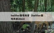 twitter账号共享（twitter账号共享2022）