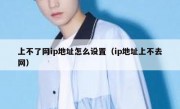 上不了网ip地址怎么设置（ip地址上不去网）