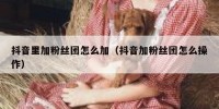 抖音里加粉丝团怎么加（抖音加粉丝团怎么操作）