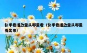 快手看播放量从哪里看（快手看播放量从哪里看出来）