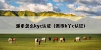 派币怎么kyc认证（派币k丫c认证）