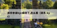 派币申请kyc成功了,怎么看（派币 kyc）