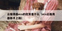 云服务器ecs的优势是什么（ecs云服务器新手上路）