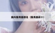 国内服务器排名（服务器前十）