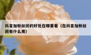 抖音加粉丝团的好处在哪里看（在抖音加粉丝团有什么用）