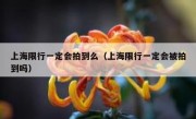 上海限行一定会拍到么（上海限行一定会被拍到吗）