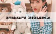 派币钱包怎么开通（派币怎么提现成功）