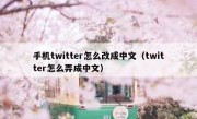 手机twitter怎么改成中文（twitter怎么弄成中文）