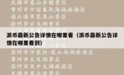 派币最新公告详情在哪里看（派币最新公告详情在哪里看到）