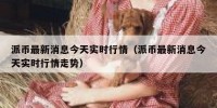 派币最新消息今天实时行情（派币最新消息今天实时行情走势）