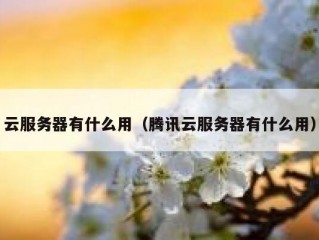 云服务器有什么用（腾讯云服务器有什么用）